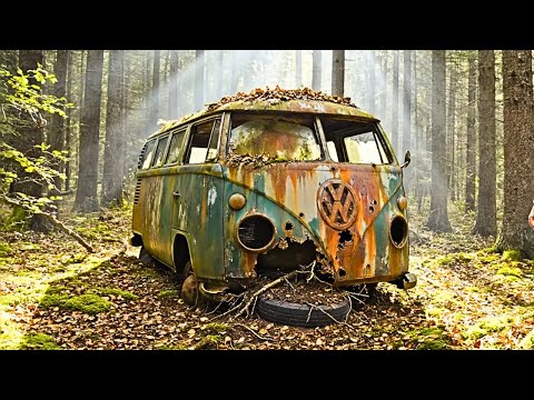 Abandoned 1950s VW Bus Fully Restored! Palm Green