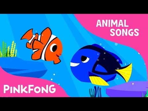 Clown Fish, Bluetang | Tropical Fish | Animal Songs | Pinkfong Songs for Children