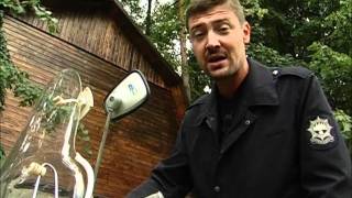 тест-драйв Jawa 350