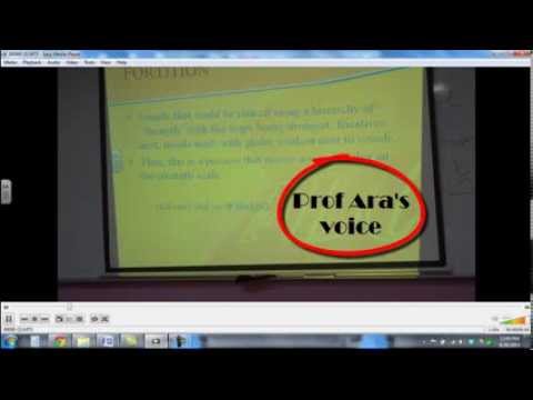 Phonological Processes: Lenition, Fortition, Assimilation, Deletion, Insertion, and their Rules