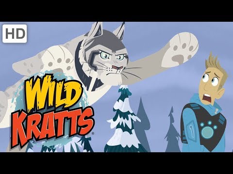 Wild Kratts 🐈🐇 The Lynx and the Hare ❄ Happy Holidays! ❄ Kids Videos