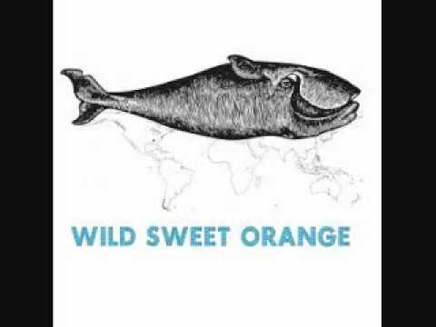 Wild Sweet Orange-Tilt (Acoustic)