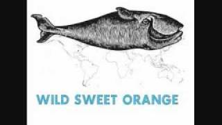 Wild Sweet Orange-Tilt (Acoustic)