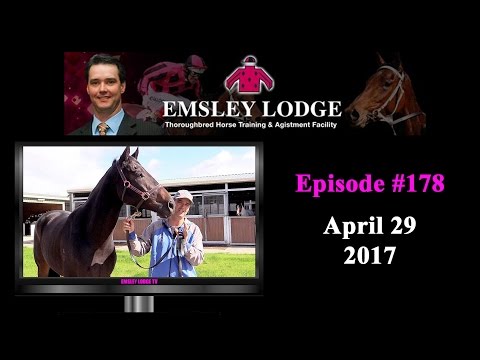 April 29 2017 - Emsley Lodge Report