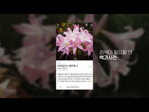 Budpick - Plant Identifier video thumbnail