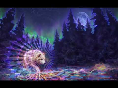 Ticon Dj Set Gamma (2016)