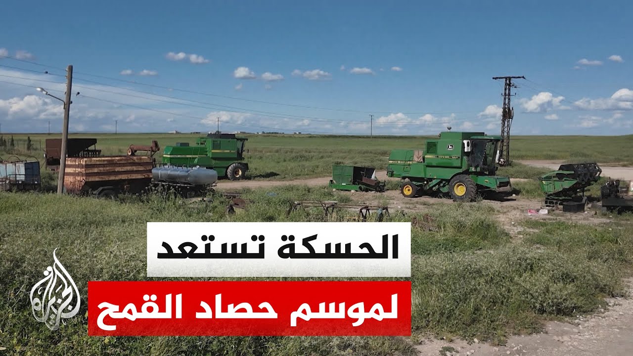 سوريا.. مزارعو الحسكة يستعدون لجني موسم زراعي يعتبرونه جيدا