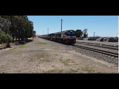 7 Locomotive Lash up on 5PM9 through Maroona, Vic 13/01/19