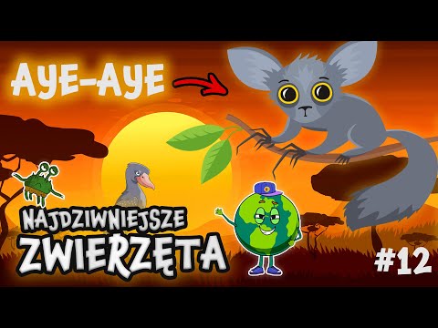 ZWIERZĘTA KTÓRYCH NIE WIDZIELIŚCIE - Film Edukacyjny dla Dzieci