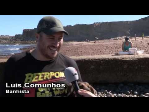 Praia para cães atrai banhistas de todo o país a Peniche