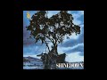 Shinedown - Lacerated