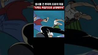 생사를 건 루피와 조로의 대결