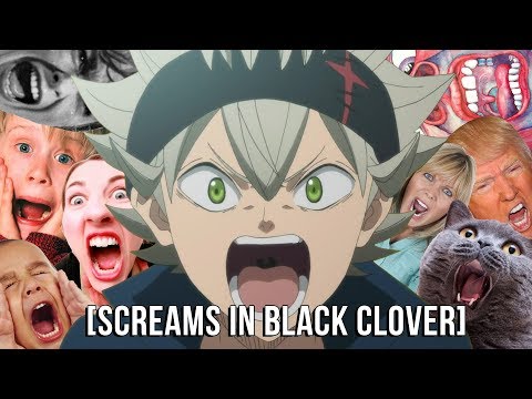 Black Clover: The New Problem Child of Shounen