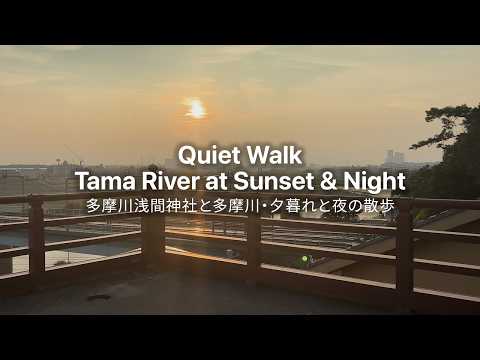 Tokyo Walking Vlog - Tama River at Sunset & Night