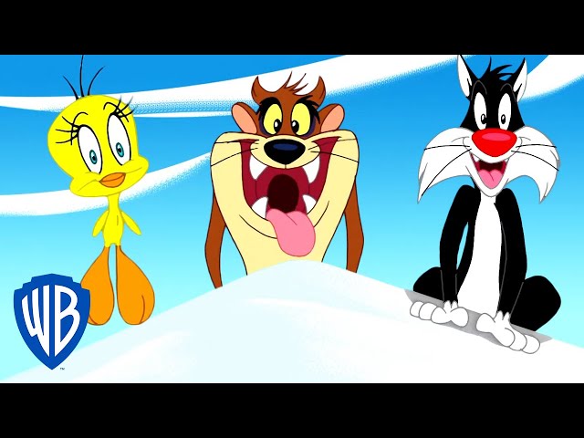 Vídeo relacionado con Looney Tunes - Peluche de los Personajes - Coyote, Piolín, Taz, Silvestre, Correcaminos, Lucas, Bugs Bunny - Calidad Super Soft (Piolin)