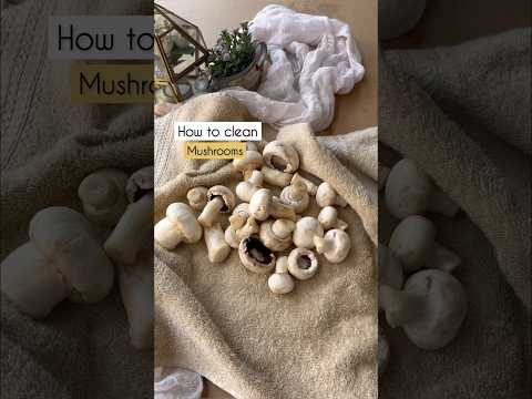 How to clean mushroom / easy mushroom cleaning / quickest way to clean mushroom
