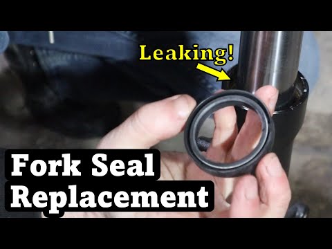 Replace Your Fork Seals! | Suzuki DL650 V-Strom/Non-Inverted Fork Repair