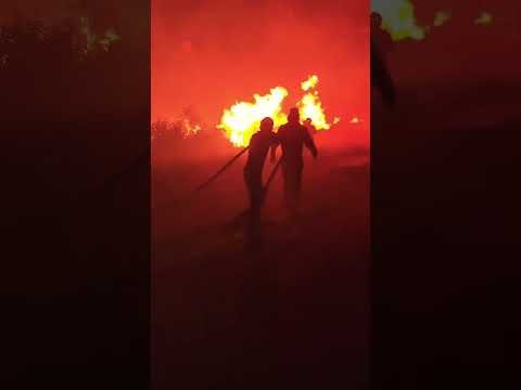 Incêndio 🔥 Florestal na Estrada da Terra do Cará no Município de Caapiranga no Amazonas.