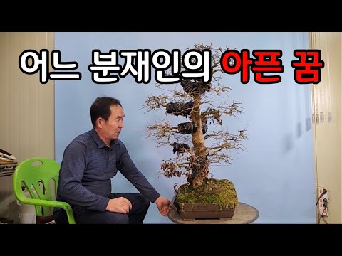 , title : '분재관리 369강 어느 분재인의 아픈 꿈'