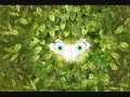 8. In the forest - The secret of Kells OST 