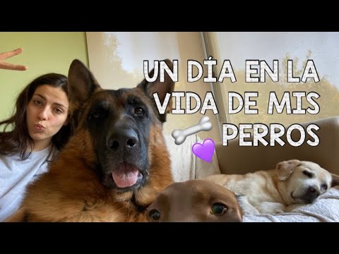 Un día con mis hijos :)