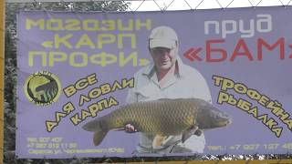 Рыбалка в саратове на пруду дубки