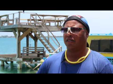 Why go to Utila Dive Centre for training? Testimonial videos from former students
