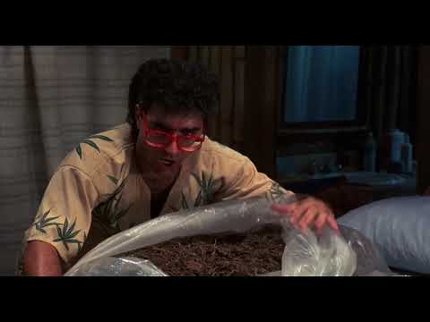 Weed in Movies - Club Paradise (1986)