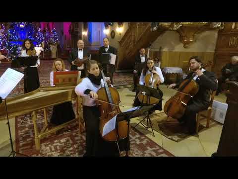 Antonio Vivaldi - Cello Concerto in C minor, RV401