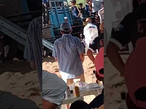 Água  Branca Al