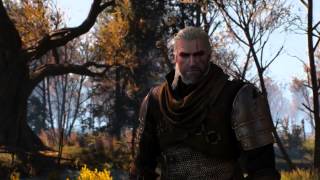 THE WITCHER 3: Wild Hunt - *Go Your Way* Trailer HD (PC/PS4/XBOX ONE)