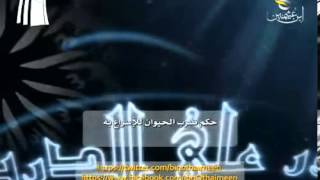 صورة سؤال للشيخ ابن عثيمين رحمه الله: ما حكم ضرب الحيوان للإسراع به ؟