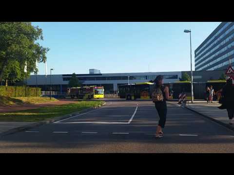 Qbuzz U-OV Buslijn 31 Trajectvideo Lunetten - De Uithof - Bilthoven