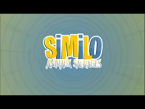 GIGAMIC - Similo Animaux Sauvages