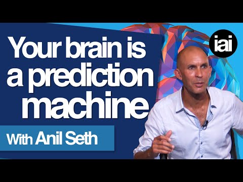 Consciousness and perceiving the self | Anil Seth