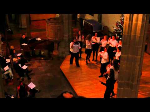 Dodici Voce - Rockin' Robin