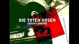 Die Toten Hosen - The Fly