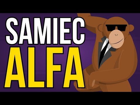 Jak być samcem alfa?