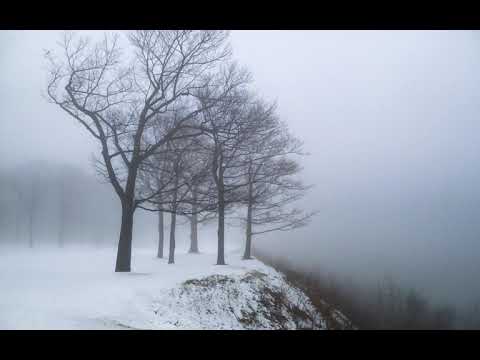 [FREE FOR PROFIT] 2000's emo rock + midwest emo + indie rock type beat "soledad"