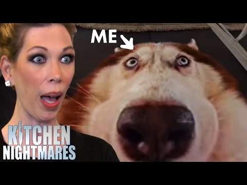 me if i worked at amy's baking company | Kitchen Nightmares | Gordon Ramsay