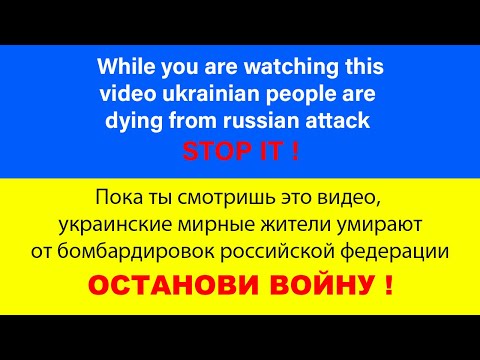 Выставочный груминг йоркширского терьера