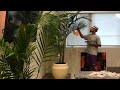 Larry June - Watering My Plants 432Hz