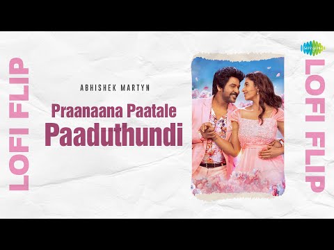 Praanaana Paatale Paaduthundi - Lofi Flip | Rudhrudu | Dharan Kumar | Nithyashree | Abhishek Martyn