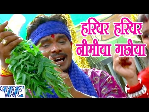 हरियर हरियर निमिया गछिया - Jay Jay Bol Mai Ke - Parmod Premi Yadav - Bhojpuri Devi Geet 2023