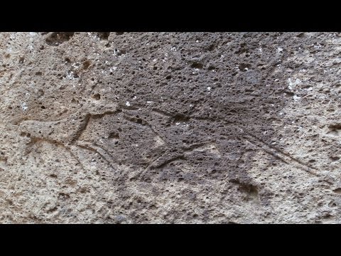 Necropoli etrusca e San Giuliano a  Barbarano Romano