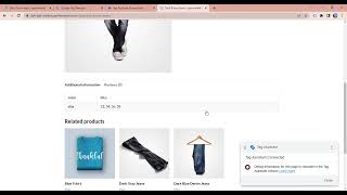 Google Tag Manager   Data Layer