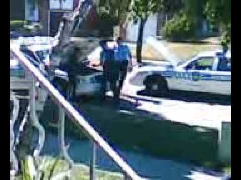 Peel Police Car Trouble