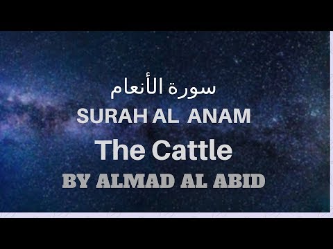 Surah AL Anam || By Ahmad Al Abid || Al Quran Productions