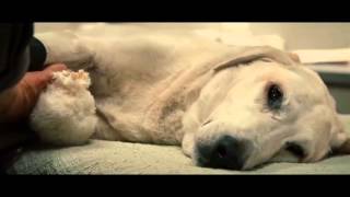 Theodore Shapiro - It All Runs Together (Soundtracks In Motion)