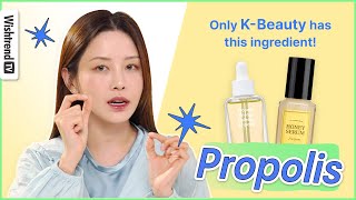 Comparison of Propolis Ampoules by K-Beauty Brands 🍯💥 l Before You Buy